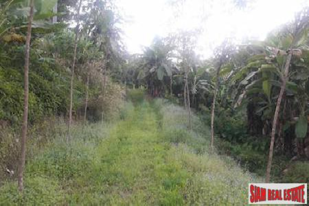 Lush Tropical Hillside Property in Phang Nga-11