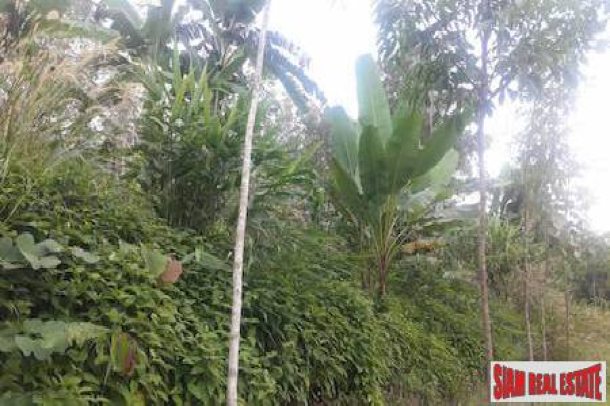 Lush Tropical Hillside Property in Phang Nga-12