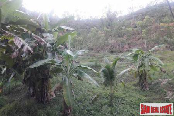 Lush Tropical Hillside Property in Phang Nga-13