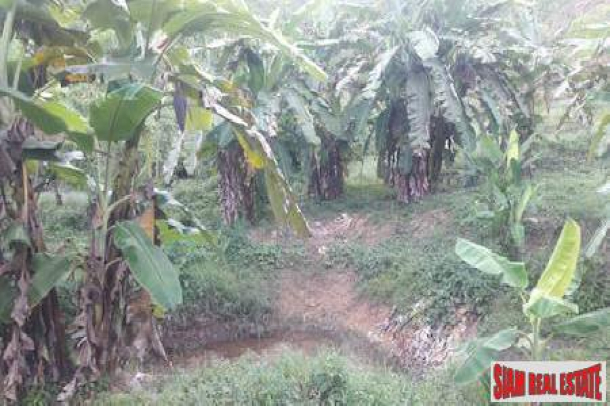 Lush Tropical Hillside Property in Phang Nga-14