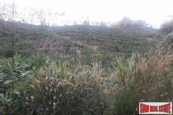 Lush Tropical Hillside Property in Phang Nga-15