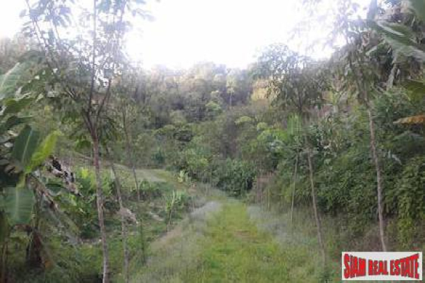 Large Land Plot for Sale in Beautiful Phang Nga-16