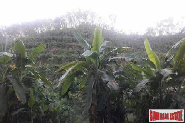Large Land Plot for Sale in Beautiful Phang Nga-2