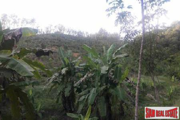 Large Land Plot for Sale in Beautiful Phang Nga-8