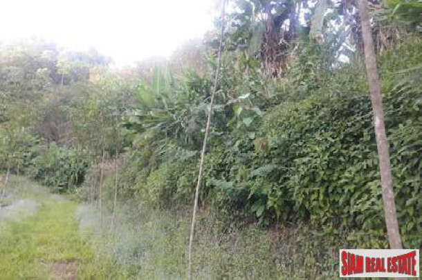 Lush Tropical Hillside Property in Phang Nga-9