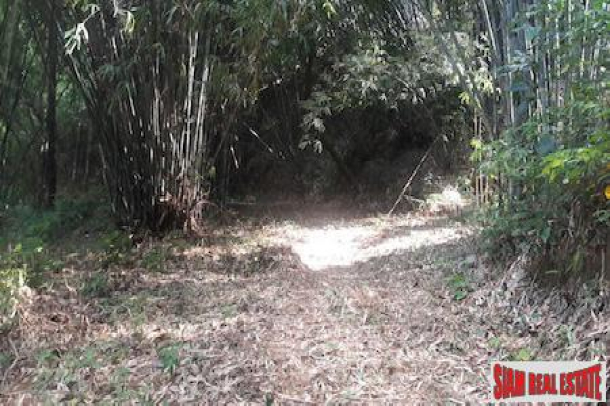 Lush Tropical Hillside Property in Phang Nga-2