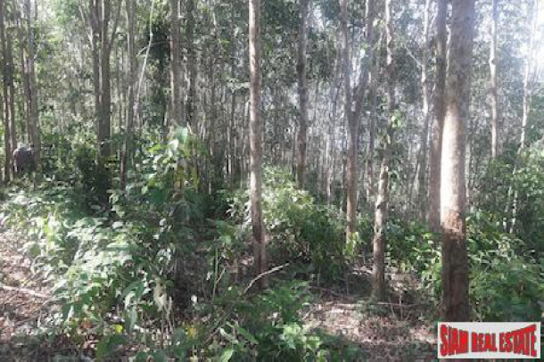 Lush Tropical Hillside Property in Phang Nga-6