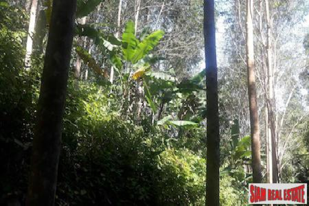 Lush Tropical Hillside Property in Phang Nga-7