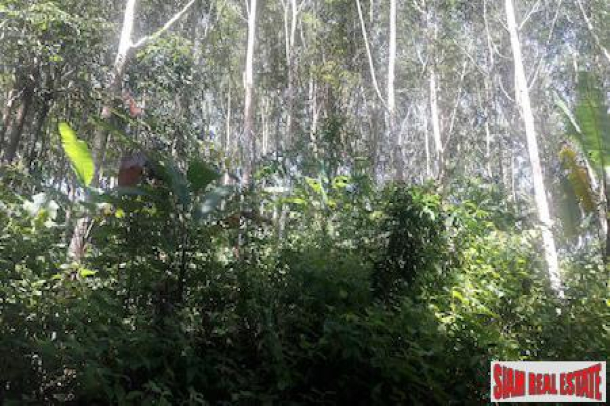 Lush Tropical Hillside Property in Phang Nga-8