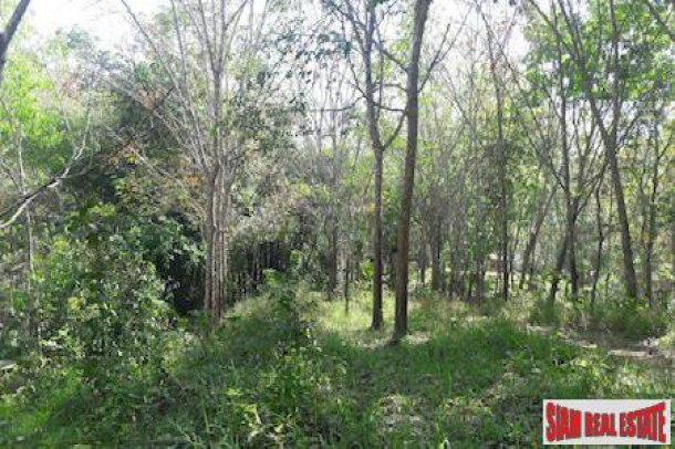 Large Land Plot with Rubber Plantation and Fruit Trees in Phang Nga-12