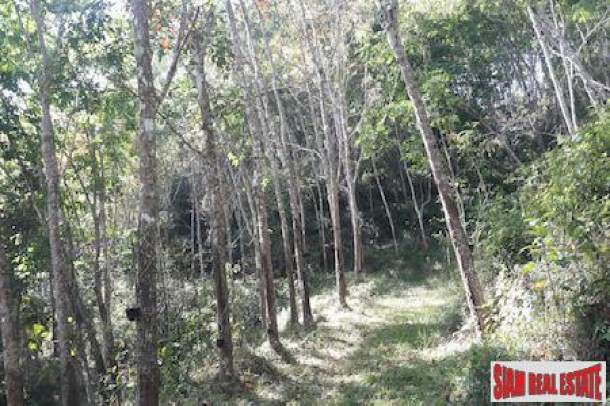 Large Land Plot with Rubber Plantation and Fruit Trees in Phang Nga-5