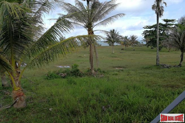5.2 Rai of Beachfront Land For Sale at Natai with 80 meters of Beach Frontage-3