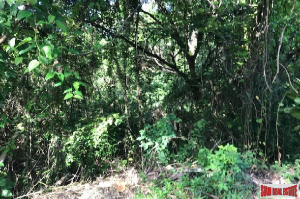 Sea View Land for Sale only 2 Kilometers from Layan Beach-2