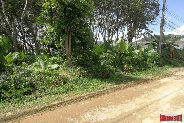 Extra Large Land Plot on Quiet Residential Street in Nai Harn-1