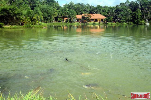 Bung Sawan - A Little Piece of Paradise, Estate with Two Houses and Fishing Lake - Chumphon-8