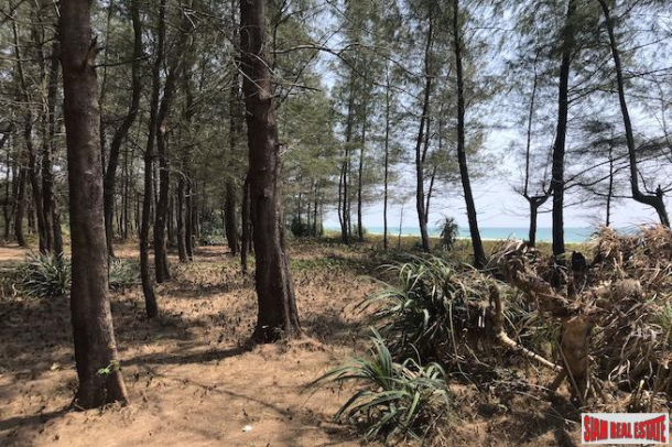 Unique Beachfront Land Plot for Sale In Phang Nga-2