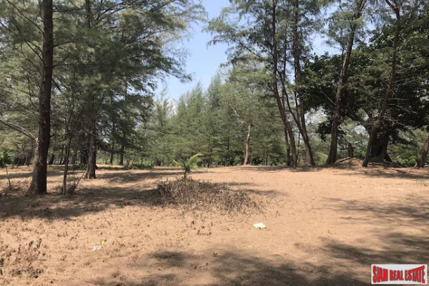 Unique Beachfront Land Plot for Sale In Phang Nga-6
