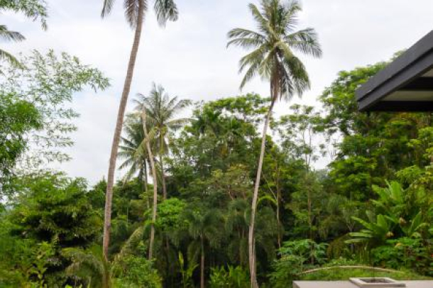 Large Land Plot near the Beach with Some Sea Views in Phang Nga-8