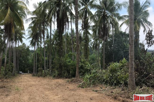 Large Land Plot near the Beach with Some Sea Views in Phang Nga-1