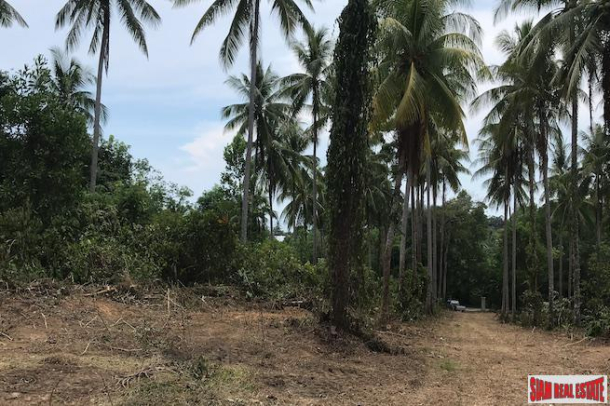 Large Land Plot near the Beach with Some Sea Views in Phang Nga-2
