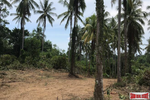 Large Land Plot near the Beach with Some Sea Views in Phang Nga-3