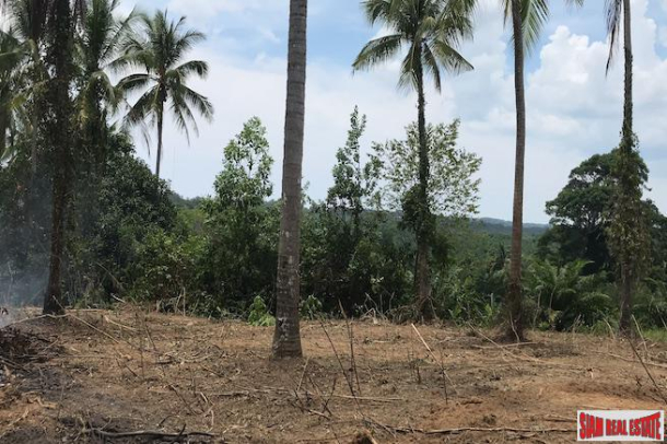 Large Land Plot near the Beach with Some Sea Views in Phang Nga-5
