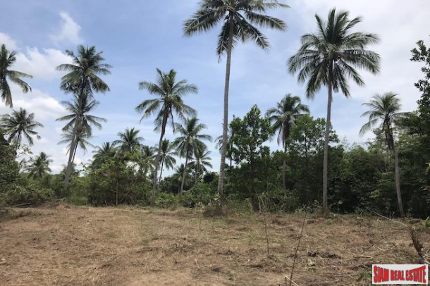 Large Land Plot near the Beach with Some Sea Views in Phang Nga-6