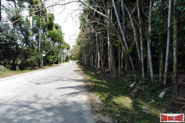 Large 16 Rai Land Plot Covered with Mangostene and a Rubber Tree Plantation in Phang Nga-2
