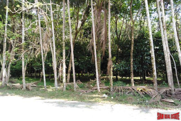 Large 16 Rai Land Plot Covered with Mangostene and a Rubber Tree Plantation in Phang Nga-3