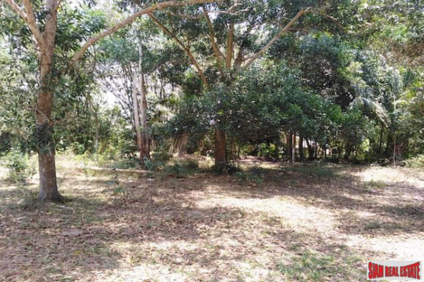 Beautiful Land Plot with Large Tropical Trees and a Private Lake in Phang Nga-3
