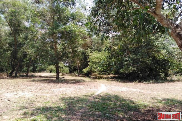Beautiful Land Plot with Large Tropical Trees and a Private Lake in Phang Nga-5