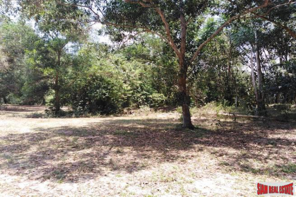 Beautiful Land Plot with Large Tropical Trees and a Private Lake in Phang Nga-6