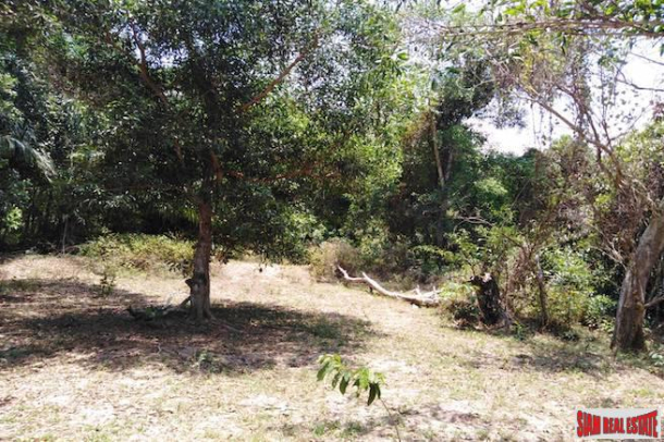 Beautiful Land Plot with Large Tropical Trees and a Private Lake in Phang Nga-8