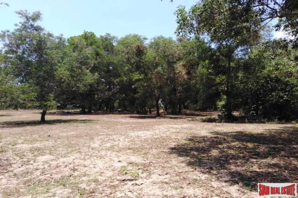 Beautiful Land Plot with Large Tropical Trees and a Private Lake in Phang Nga-9