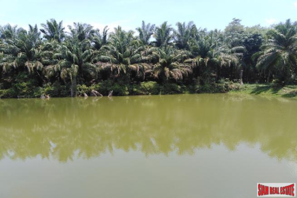 Large Land Plot with Lake and Palm Plantation North of Khao Lak-8
