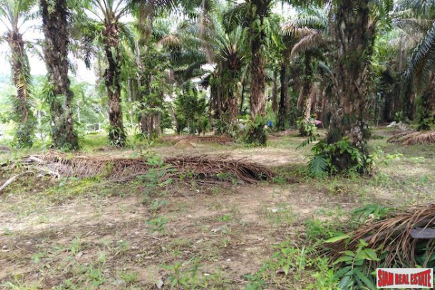 Large Land Plot for Sale with Palm and Rubber Plantation-4
