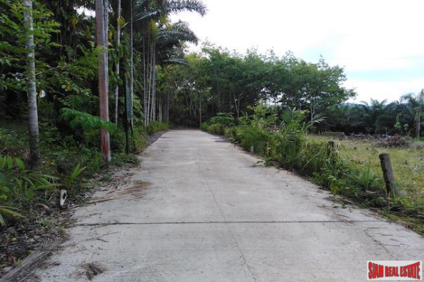 Large Land Plot for Sale with Palm and Rubber Plantation-6