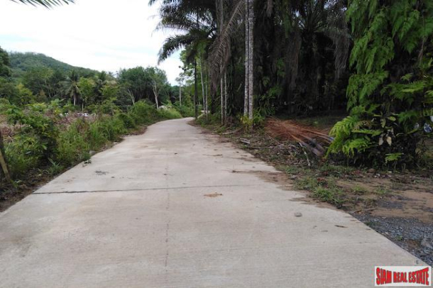 Large Land Plot for Sale with Palm and Rubber Plantation-7