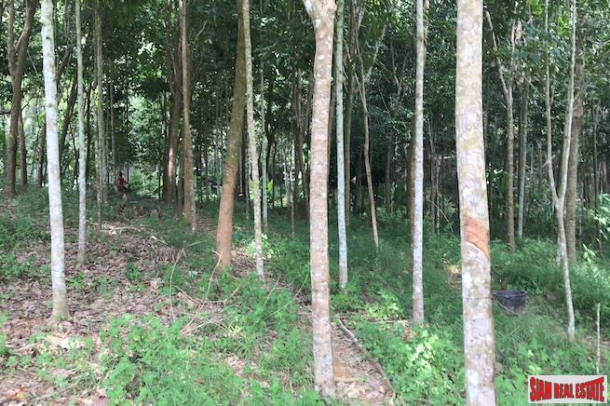Investment Land with Spectacular Phang Nga Bay Views in Takua Thung-5
