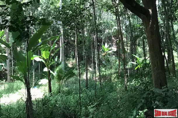 Investment Land with Spectacular Phang Nga Bay Views in Takua Thung-6
