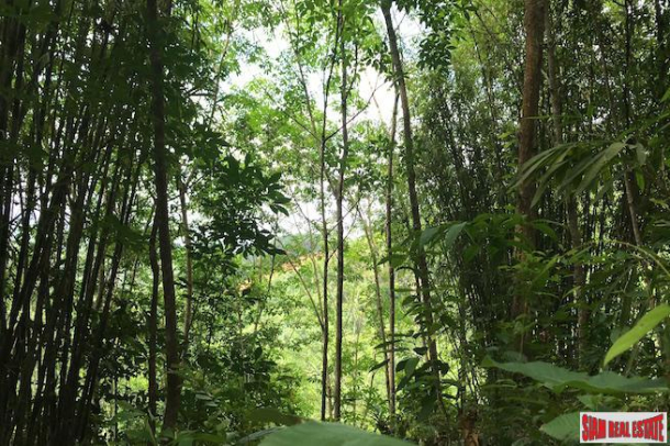 Investment Land with Spectacular Phang Nga Bay Views in Takua Thung-7