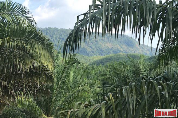 Lush Tropical  Land Plot with Gentle Slope in Takua Thung, Phang Nga-1