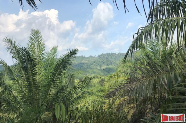 Lush Tropical  Land Plot with Gentle Slope in Takua Thung, Phang Nga-3