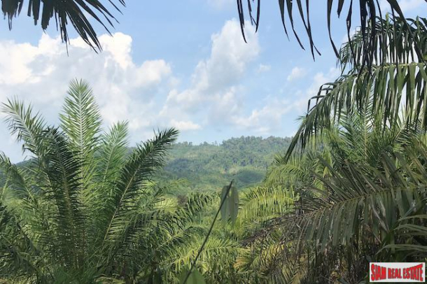 Lush Tropical  Land Plot with Gentle Slope in Takua Thung, Phang Nga-5
