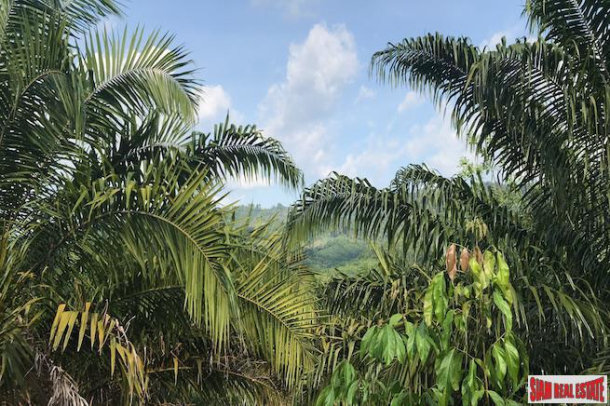 Lush Tropical  Land Plot with Gentle Slope in Takua Thung, Phang Nga-6