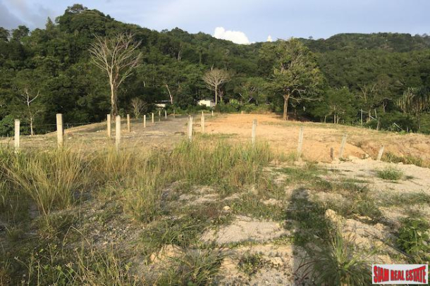 Hillside Land Plot Near Big Buddha and Many Local Amenities in Chalong-1