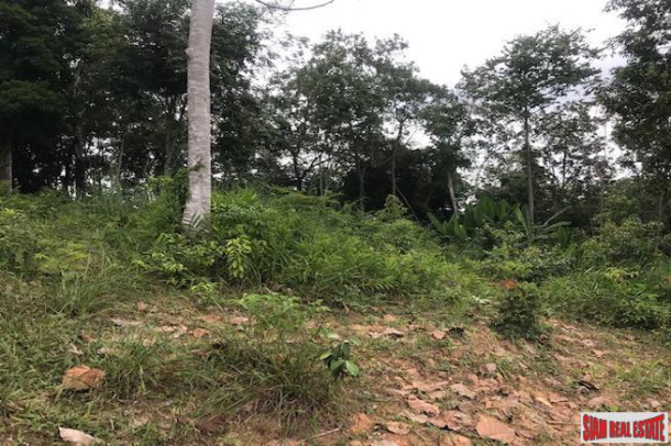 Large Hillside Land Plot with Sea Views of the Andaman East Coast in Koh Kaew-5