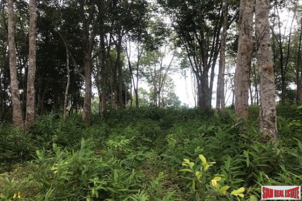 Large Hillside Land Plot with Sea Views of the Andaman East Coast in Koh Kaew-6