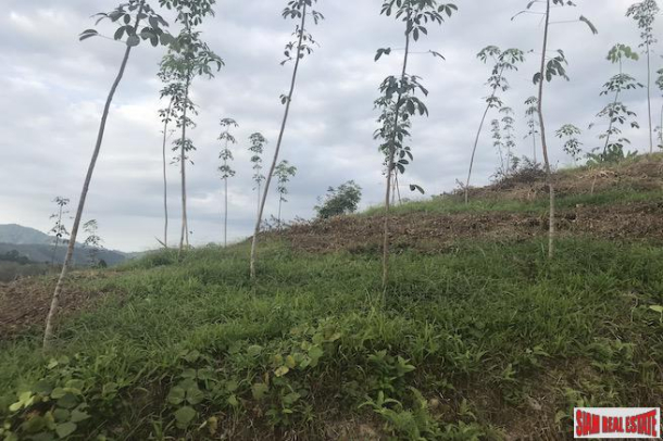 Big Land Plot for Sale with Beautiful Mountain Views in Phang Nga-10