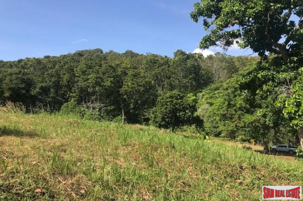 One Rai of Green Hillside Land with Mountain Views For Sale in Rawai-5